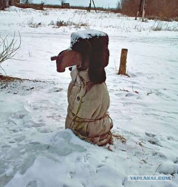 Смешные картинки