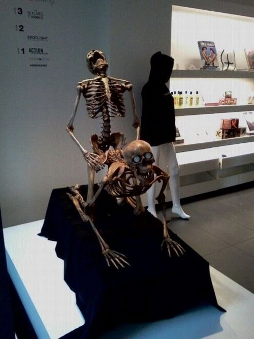 Подборка картинок 29.03.16