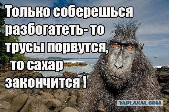 Подборка идиотских фотографий, часть 4