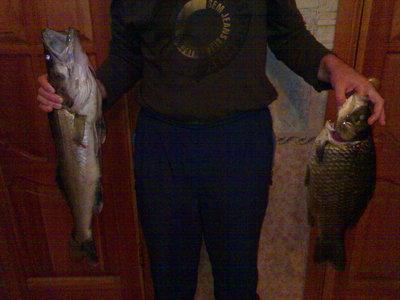 "Поймал мужик рыбку"