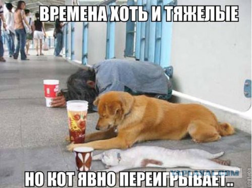Подборка приколов