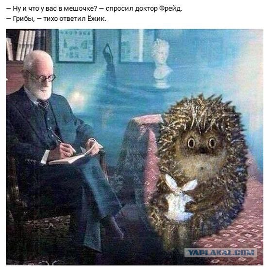 9579756.jpg
