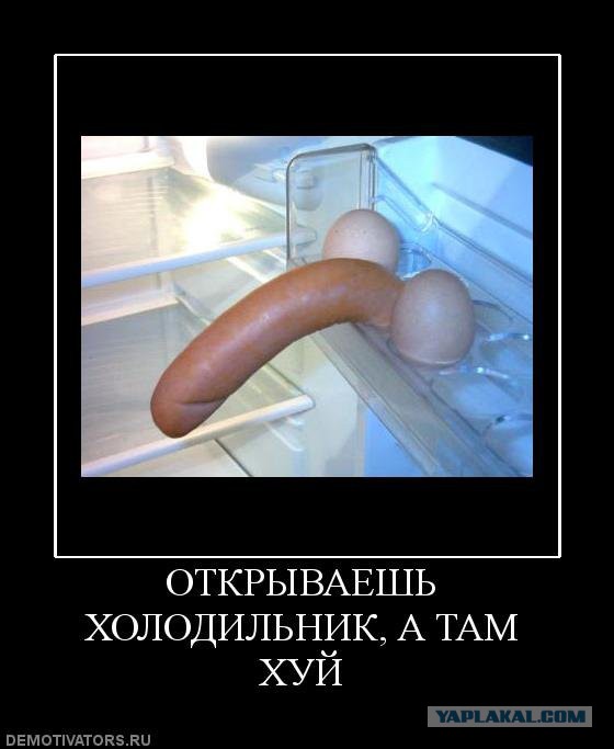 Содержимое холодильника семей разных стран