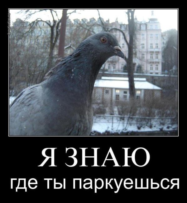 Полировка 99lvl