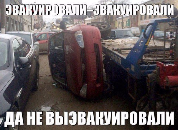 Подборка безудержного веселья