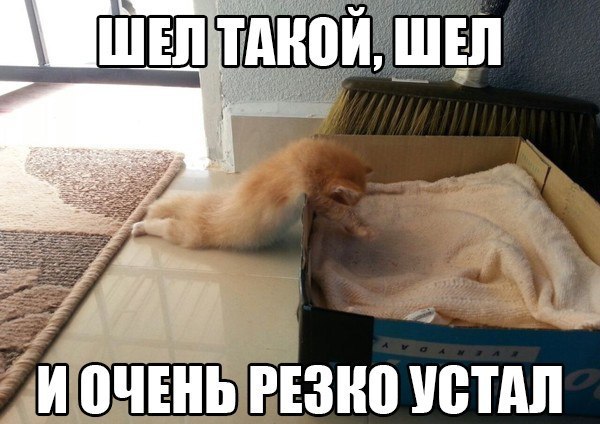 15 самых правдивых историй из жизни настоящих лентяев!