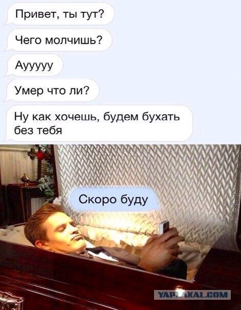 Немного картинок в обед