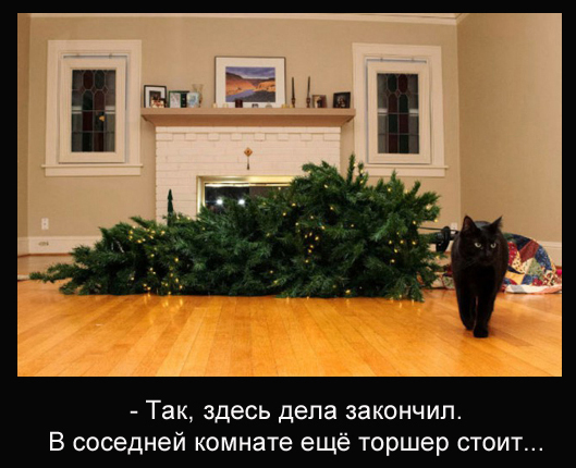 Неприятные неприятности случаются