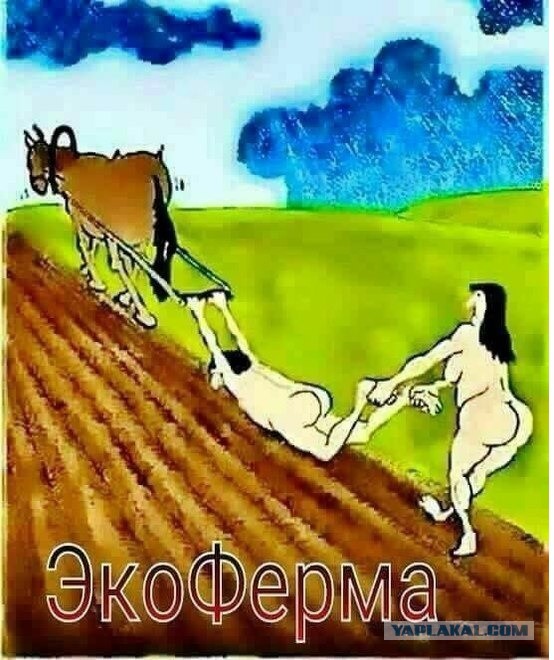 10 страшных историй о виагре