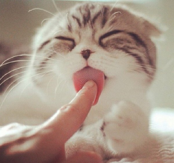 Перестаньте фантазировать