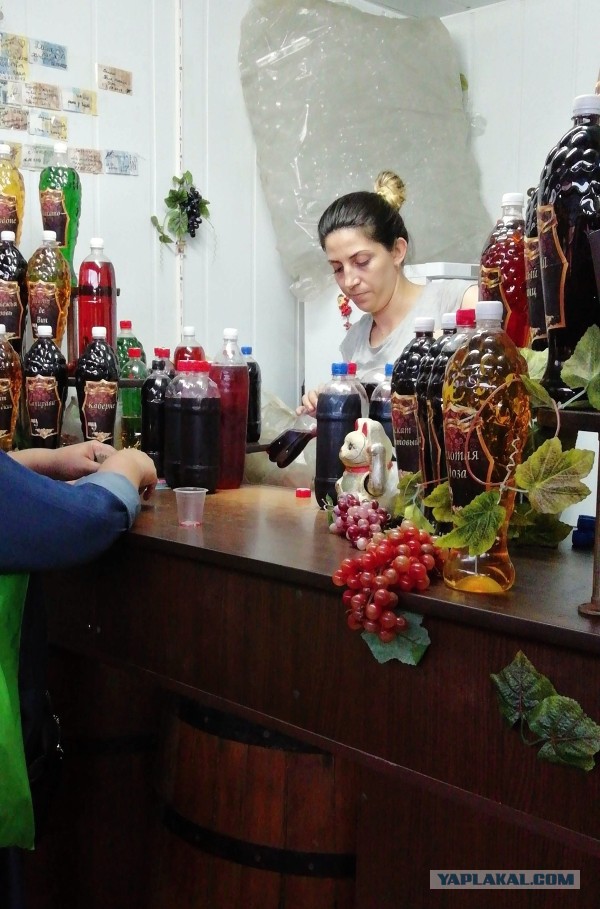 Про отдых в Одессе, с предисловием про отдых в Затоке