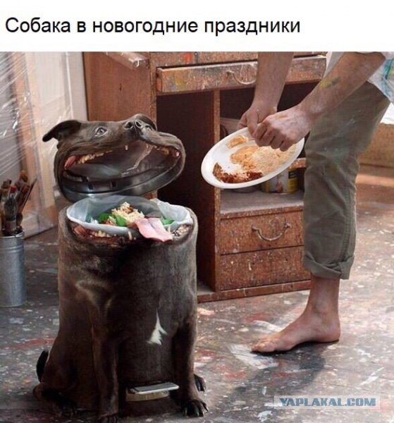 Немного картинок в этот понедельник