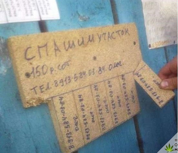 Прикольные надписи и объявления