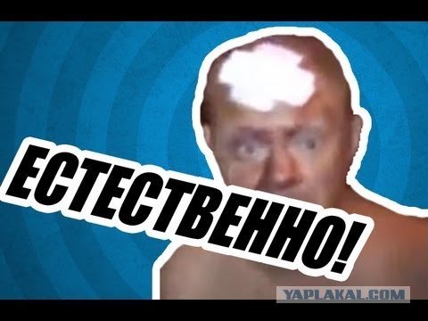 Пьяный волгоградец разбил машины и покусал человека