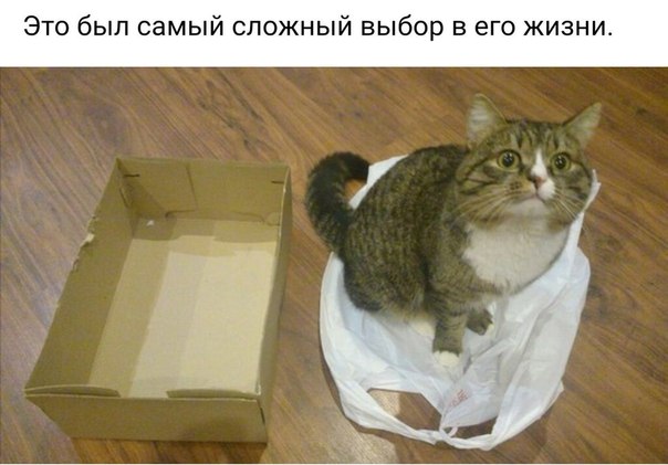 Немного картинок для настроения 24.01.20