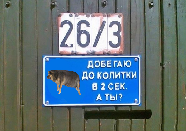 Фотожаба: О чем же думает собака?....