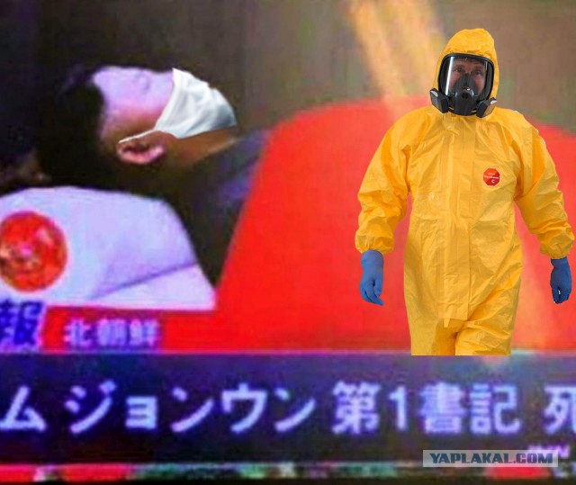 Японский кто понимает? Что пишут?