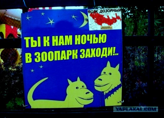 Фотожаба: Ночью парк стережем мы!