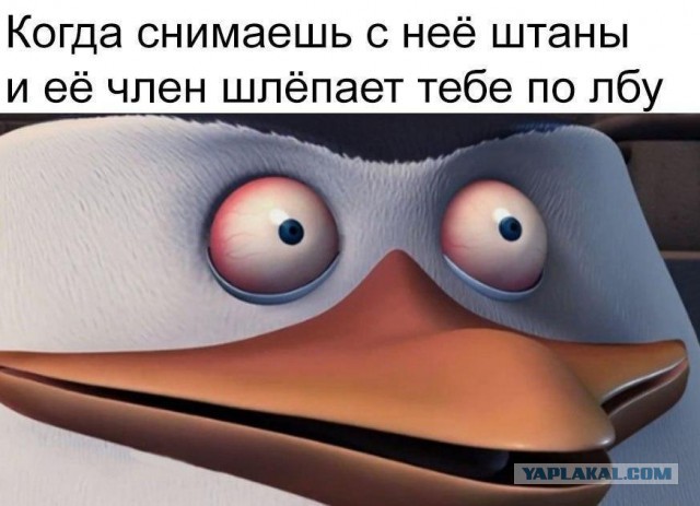 Упрекнул женщин на сайте знакомств в том, что они мало зарабатывают. Показываю ответы