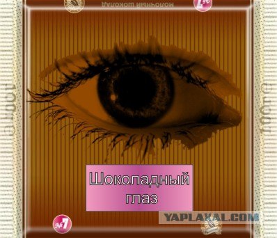 Фотожаба: шоколада "Булгаков Александр"