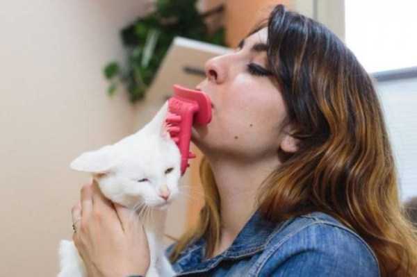 WTF: что тут происходит? (13.08.20)