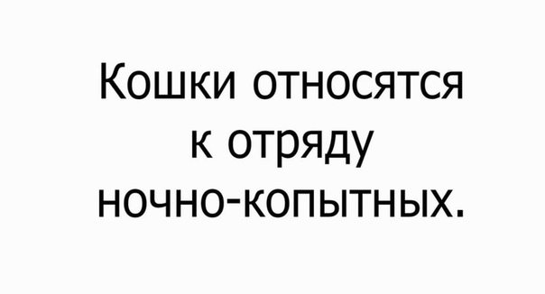 Немного картинок для настроения 30.10.20