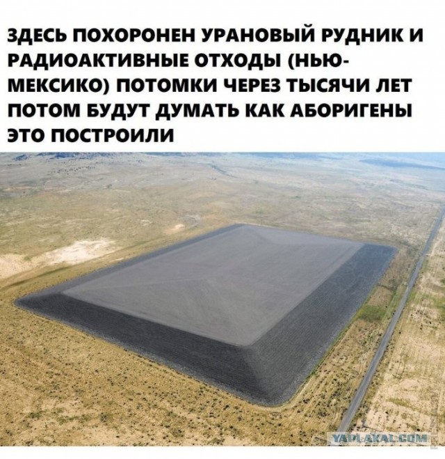 Немного картинок для настроения 06.11.20