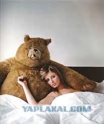 Закон- тайга, медведь за прокурора!