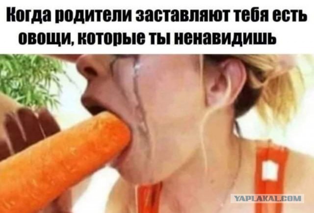 Бредзона 11.01.21