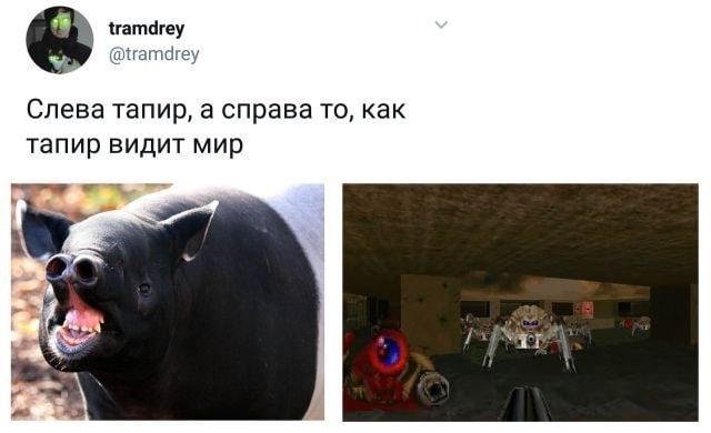 Мы здесь не для этого