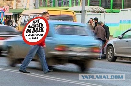 СтопХам 33 - Не брат ты мне