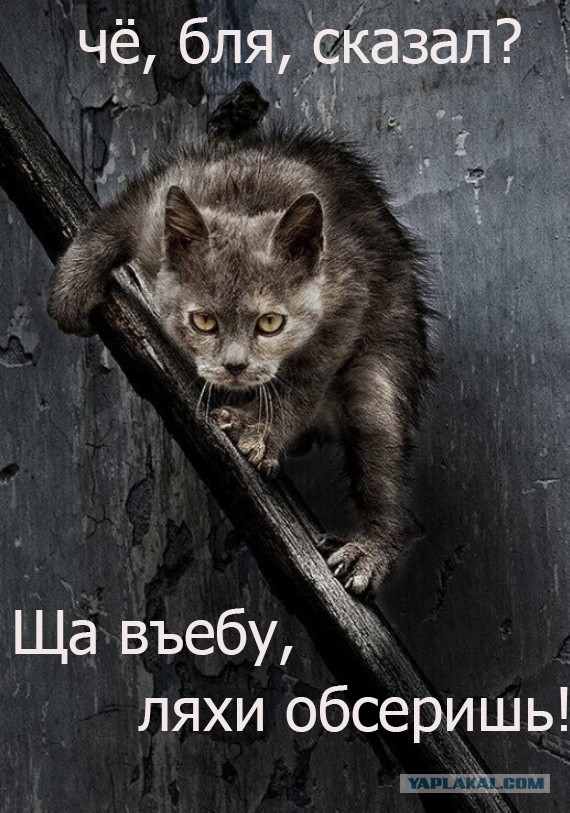 Интересные у них там конкурсы