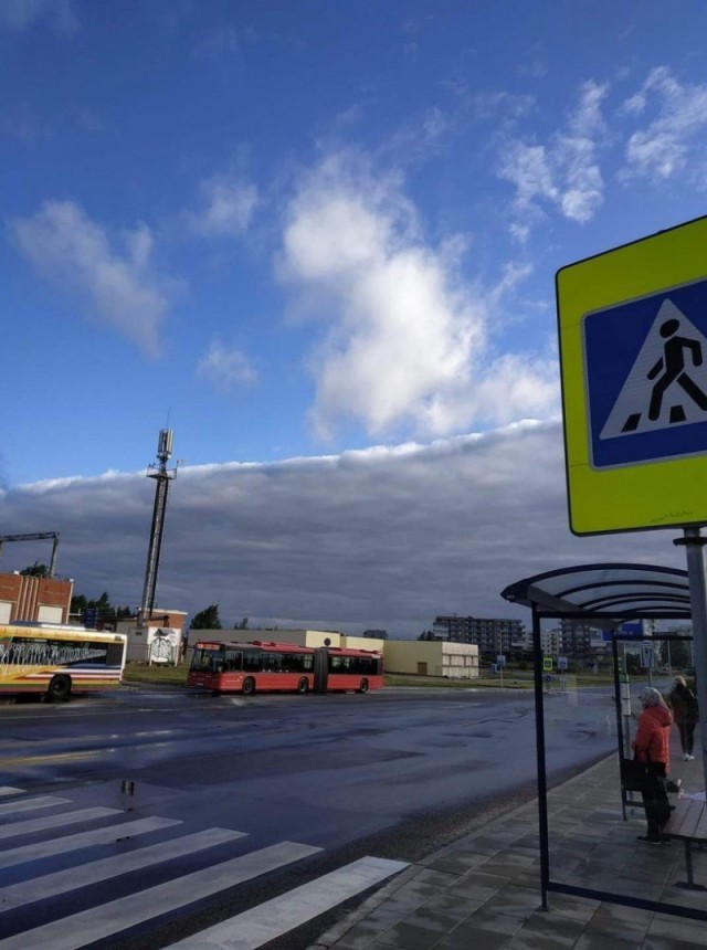 Картинки и мемы для настроения 04.08.2021