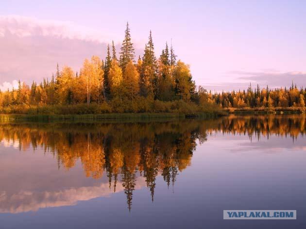 Просто природа, северная