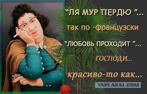 15 плюсов холостяцкой жизни