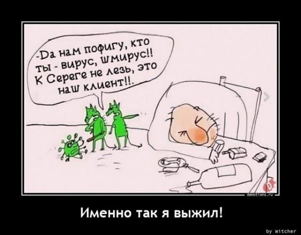 Прикольные и просто красивые картинки 27.04.2022