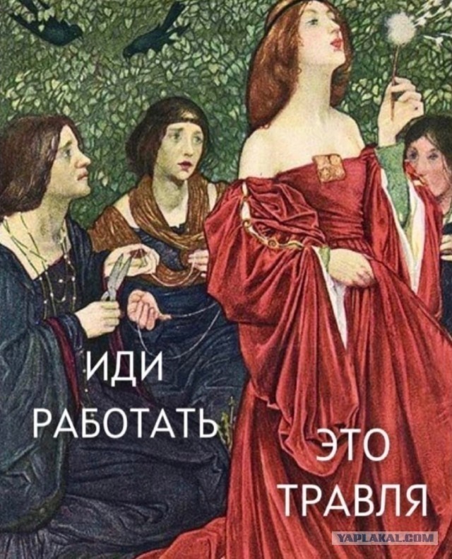 Вы в команде лидеров