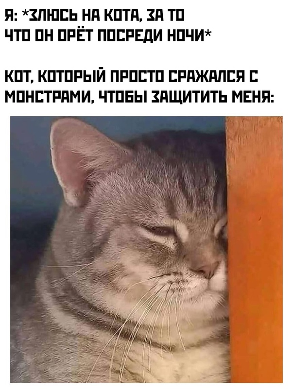 Картинки и мемы для настроения - 29