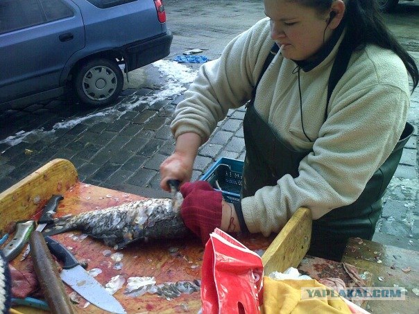 Пивная Прага