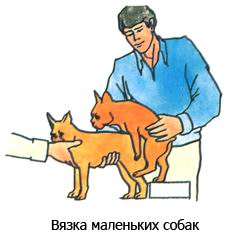 «Из старых сланцев и листа пенополистирола сделал полезную самоделку для стройки и ремонта»