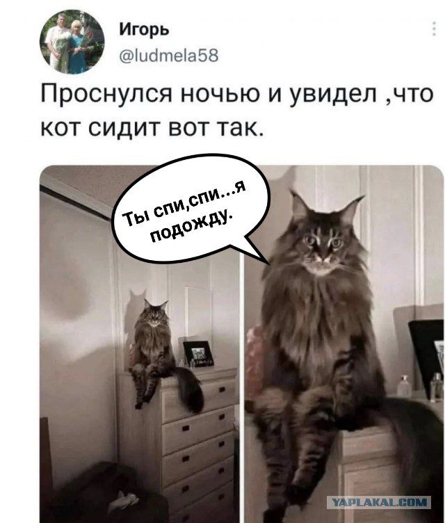 Тупняк на понедельник. 17 шт.