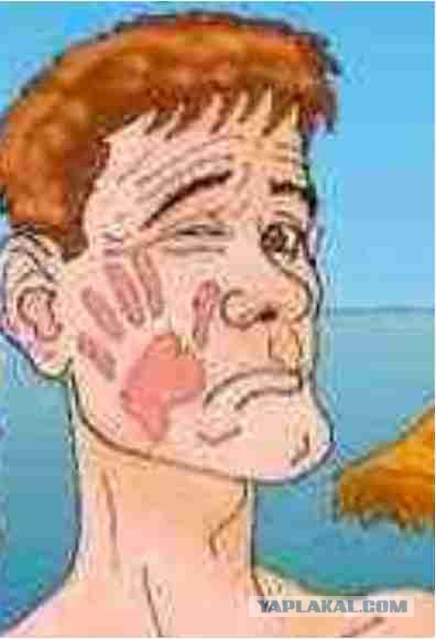 Нескромный купальник: совмещая приятное с приятным