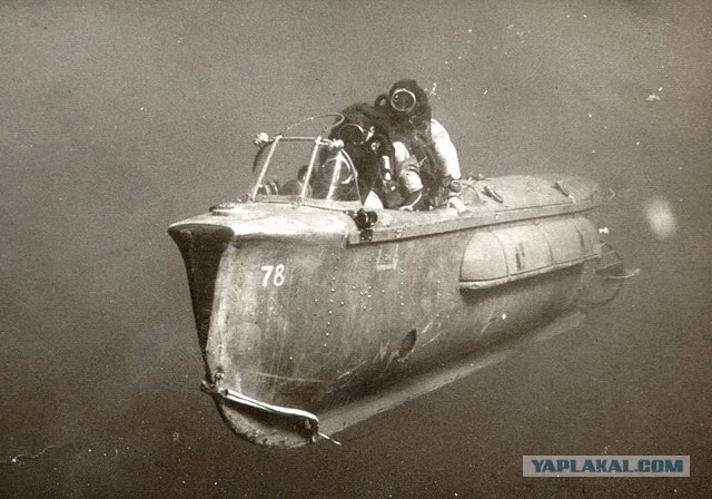 Мост был атакован подводным роботом REMUS 600