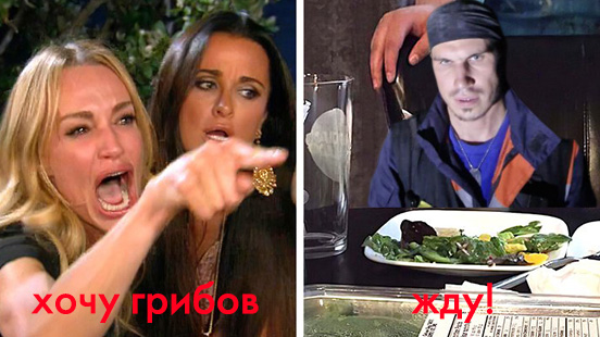 В Подмосковье 82-летняя пенсионерка ушла в лес за грибами, заблудилась и привязала себя к дереву
