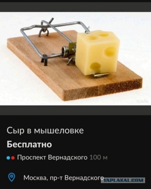 Всего понемногу. От 17.11.23