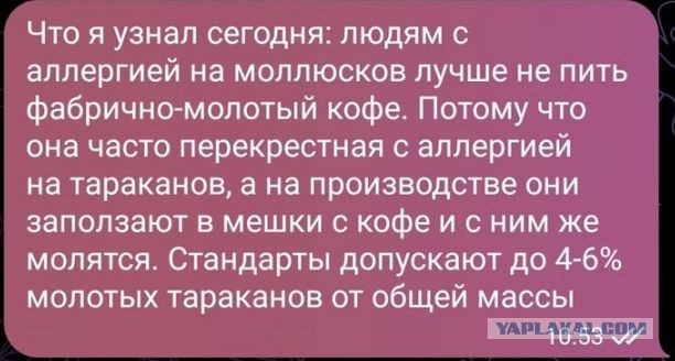 Весёлый полтишок 18.01.24