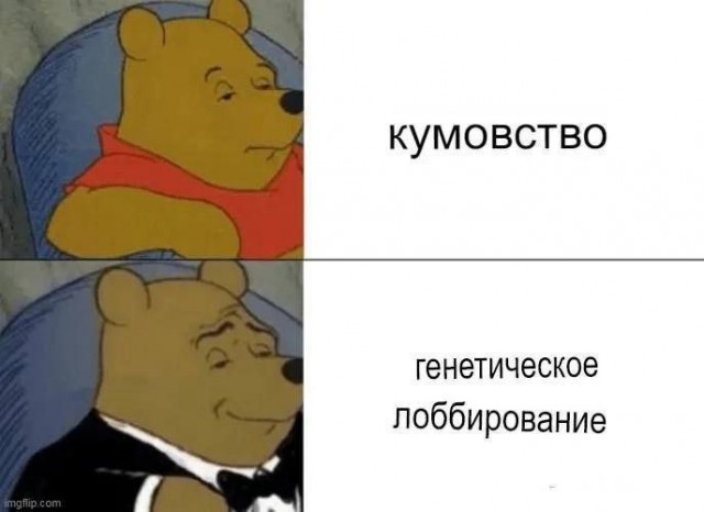 Всего понемногу. От 27.02.24