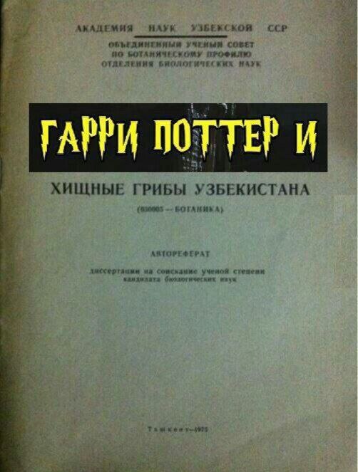 Если бы Гарри Поттера снимали в СССР.