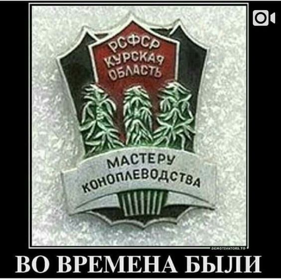 Прикольные и просто красивые картинки 21.06.2024