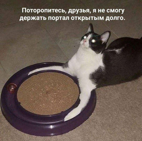 19451856.jpg